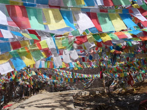 Bön flagga (tibetanska darchor), shangrila, yunnan, Kina — Stockfoto
