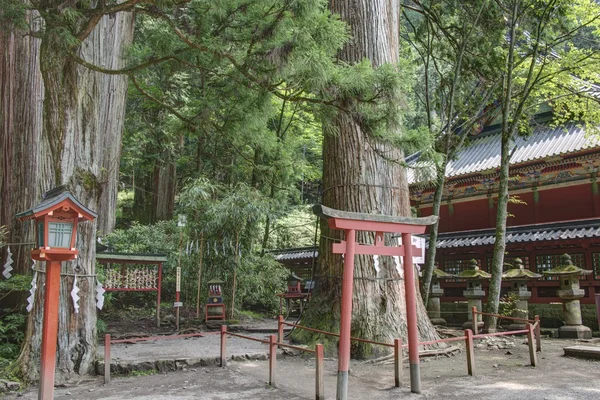 Santuario Futarasan, Nikko, Giappone. Santuari e templi di Nikko è patrimonio mondiale dell'UNESCO dal 1999 — Foto Stock