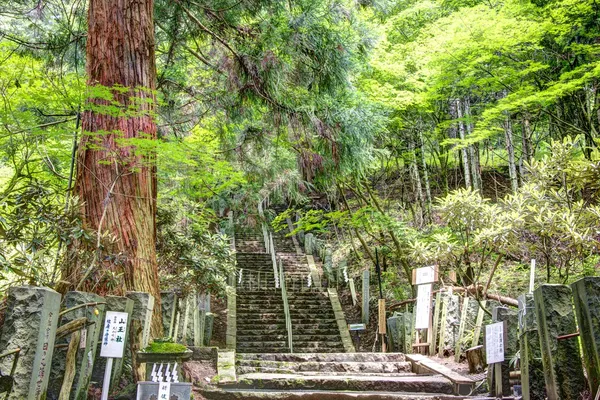 Futarasan sanktuarium, chugushi sanktuarium, nikko, Japonia — Zdjęcie stockowe