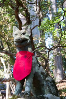 koruyucu köpekler mitsumine Tapınak, chichibu, saitama, Japonya