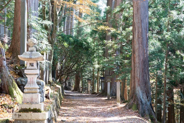 Дорога підхід до mitsumine shrine, chichibu, Сайтама, Японія — стокове фото