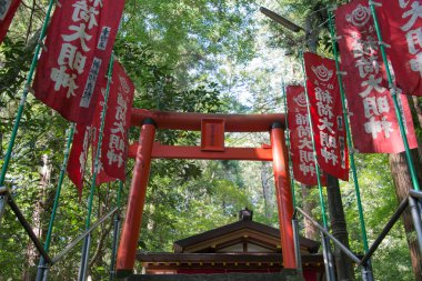 Japanese torii gate of Hodosan shrine,Chichibu Nagatoro, Saitama, Japan clipart