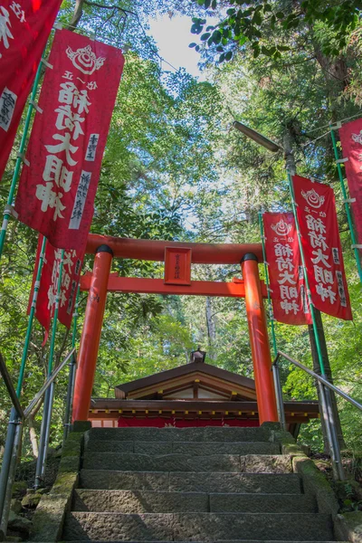 Porte torii japonaise du sanctuaire Hodosan, Chichibu Nagatoro, Saitama, Japon — Photo