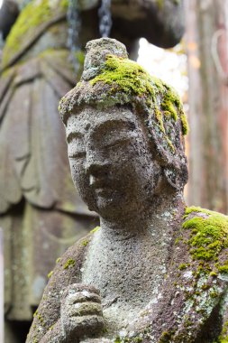 Buda heykeli rinnoji Tapınağı, nikko, Japonya