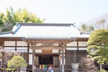 Kamakura, Japonya - 22 Mart 2014: hokokuji Tapınağı'nda turistler. rinzai mezhep zen Budizm eski bir tapınaktır. onun bambu Bahçe ünlü, o da 
