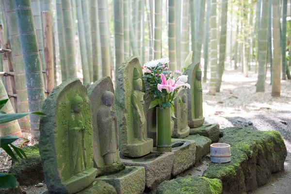 鎌倉、日本 - 2014 年 3 月 22 日: 報国寺。禅仏教の臨済宗の古いお寺です。竹庭で有名なそれとも呼ばれる"竹寺". — ストック写真