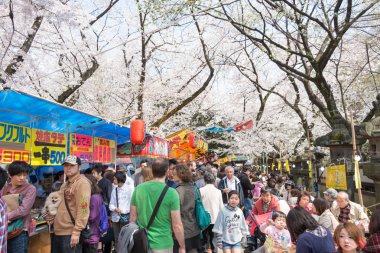 Tokyo, Japonya - 1 Nisan 2014: ziyaretçiler zevk kiraz çiçeği 1 Nisan 2014 ueno park içinde. Ueno park sakura Festivali için 2 milyon kişi tarafından ziyaret edilmiştir.