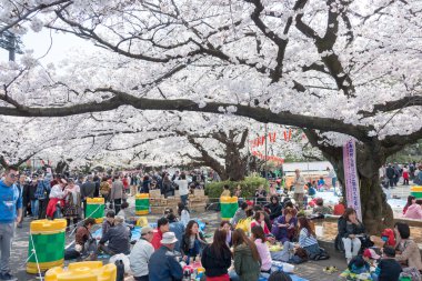 Tokyo, Japonya - 1 Nisan 2014: ziyaretçiler zevk kiraz çiçeği 1 Nisan 2014 ueno park içinde. Ueno park sakura Festivali için 2 milyon kişi tarafından ziyaret edilmiştir.