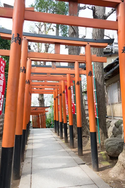 TOKIO, JAPÓN - 1 DE ABRIL DE 2014: Puertas de Torii en el Santuario Hanazono-inari el 1 de abril de 2014 en el Parque Ueno. El Parque de Ueno se estableció en 1873 en tierras que pertenecían al templo de Kan 'ei-ji. . — Foto de Stock