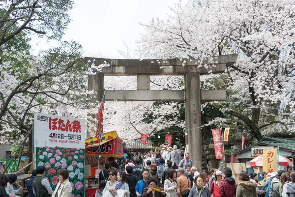 TOKIO, JAPÓN - 1 DE ABRIL DE 2014: Los visitantes disfrutan de la flor de cerezo el 1 de abril de 2014 en el Parque Ueno. Parque Ueno es visitado por hasta 2 millones de personas para el Festival anual Sakura . — Foto de Stock