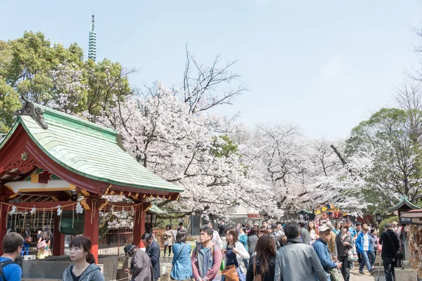 TOKYO, JAPÃO - 1 DE ABRIL DE 2014: Santuário de Ueno Toshogu em 1 de abril de 2014 no Parque Ueno. Ueno Park é visitado por até 2 milhões de pessoas para o Festival Sakura anual . — Fotografia de Stock