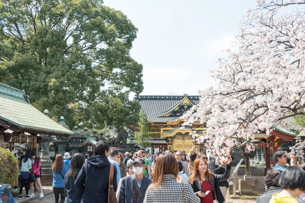 TOKYO, JAPAN - APRIL 1 2014: Ueno Toshogu Shrine on April 1, 2014 in Ueno Park. Ueno Park is visited by up to 2 million people for annual Sakura Festival. — Stock Photo, Image