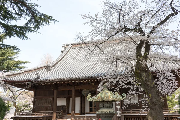 Tokyo, Japonya - 1 Nisan 2014: kaneiji Tapınağı üzerine 1 Nisan, 2014.kaneiji Tapınağı kuruldu 1625 yılında kanei döneminde tarafından tenkai. boshin Savaşı sırasında yıkıldı. — Stok fotoğraf