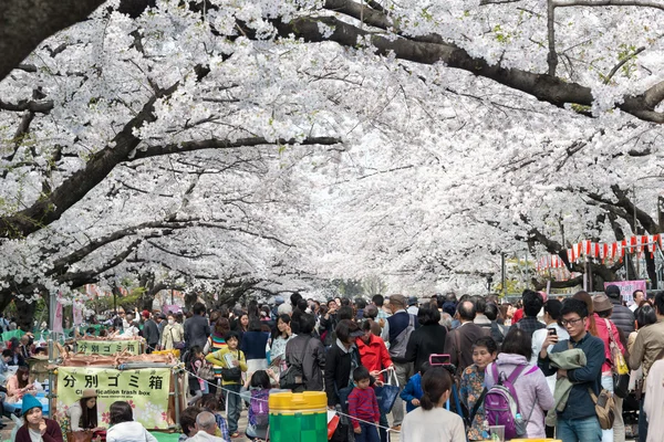 Tokyo, japan - april 1 2014: besökare njuta av körsbärsblommor på 1 april 2014 i ueno park. Ueno park besöks av upp till 2 miljoner människor för årliga sakura festival. — Stockfoto