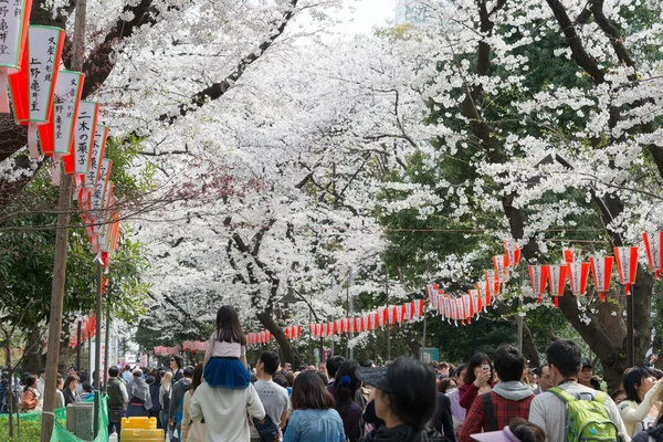 TOKIO, JAPÓN - 1 DE ABRIL DE 2014: Los visitantes disfrutan de la flor de cerezo el 1 de abril de 2014 en el Parque Ueno. Parque Ueno es visitado por hasta 2 millones de personas para el Festival anual Sakura . — Foto de Stock