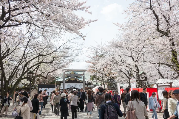 TOKIO, JAPÓN - 2 DE ABRIL DE 2014: Los visitantes disfrutan de la flor de cerezo en el santuario de Yasukuni. El santuario de Yasukuni es visitado por hasta 300 mil personas para el Festival anual de Sakura . — Foto de Stock