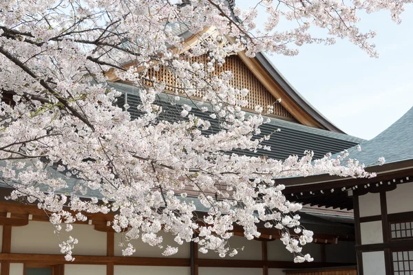 TOKYO, GIAPPONE - 2 APRILE 2014: Santuario Yasukuni, Tokyo, Giappone. Il Santuario istituito nel secondo anno dell'era Meiji (1869 ). — Foto Stock