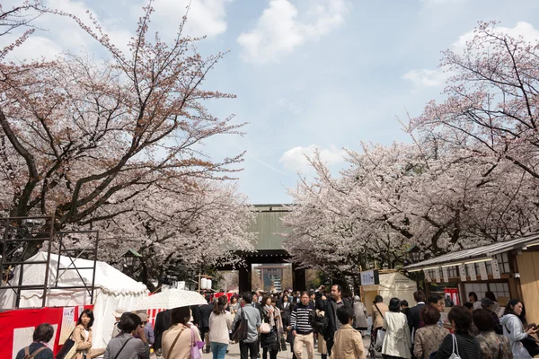 TOKIO, JAPÓN - 2 DE ABRIL DE 2014: Los visitantes disfrutan de la flor de cerezo en el santuario de Yasukuni. El santuario de Yasukuni es visitado por hasta 300 mil personas para el Festival anual de Sakura . — Foto de Stock