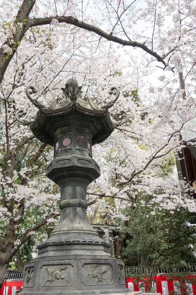 Tokyo, Japonya - 2 Nisan 2014: metro Tapınak, tokyo, Japonya, fener. meiji döneminde (1869 ikinci senesinde kurulan Tapınak). — Stok fotoğraf