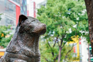 Tokyo, Japonya - 1 Mayıs 2014: hachiko heykeli. Hachiko (10 Kasım, 1923-8 Mart 1935) için onun sahibinin ölümünden sonra uzun yıllar devam onun sahip olağanüstü sadakatı hatırlandı.