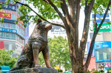 Tokyo, Japonya - 17 Nisan 2014: hachiko heykeli. Hachiko (10 Kasım, 1923-8 Mart 1935) için onun sahibinin ölümünden sonra uzun yıllar devam onun sahip olağanüstü sadakatı hatırlandı.