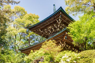 Kumagaya, Japonya - 3 Mayıs 2014: shodenzan kangiin Tapınağı. Japonya'nın ulusal hazineler bu tapınağıdır.