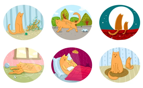kedi ve yavru kedi