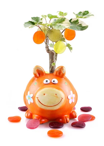 Oranssi possu pankki rahaa puu — kuvapankkivalokuva