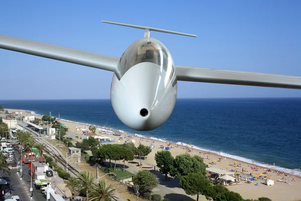 白色滑翔机飞越海海岸额叶 — 图库照片