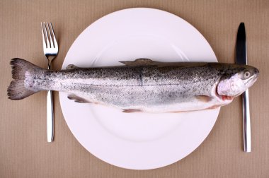 çatal bıçak takımı ile beyaz tabakta kocaman kahverengi alabalık