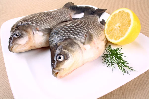 Fresh carp with lemon and dill on white plate — Stock Photo, Image