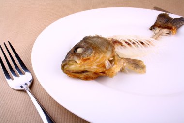 plaka, soyut bütün balık kemik tamamlamak