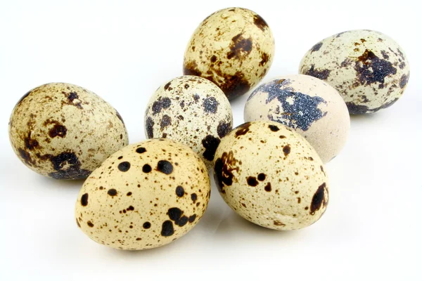 Seven quail eggs on white background — Stock Photo, Image