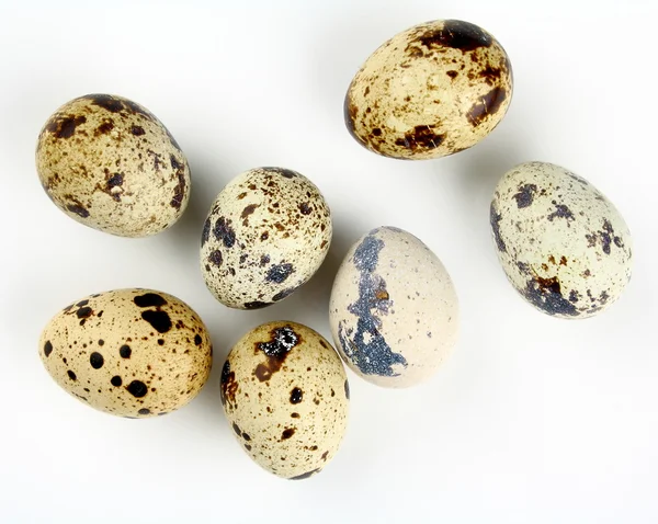 Seven quail eggs on white background, close up — Stock Photo, Image