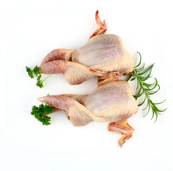 Two quail, prepared with rosemary, parsley — Stock Photo, Image