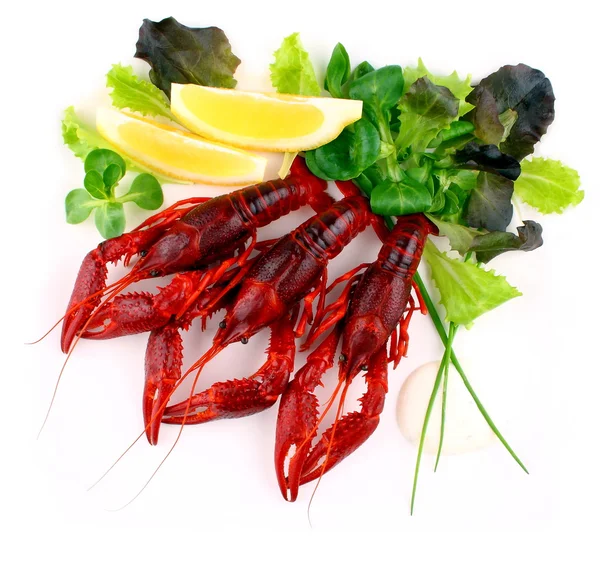 Drie rode rivierkreeft met salade op witte achtergrond, close-up — Stockfoto