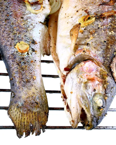 Two grilled trout with onion and spices — Stock Photo, Image