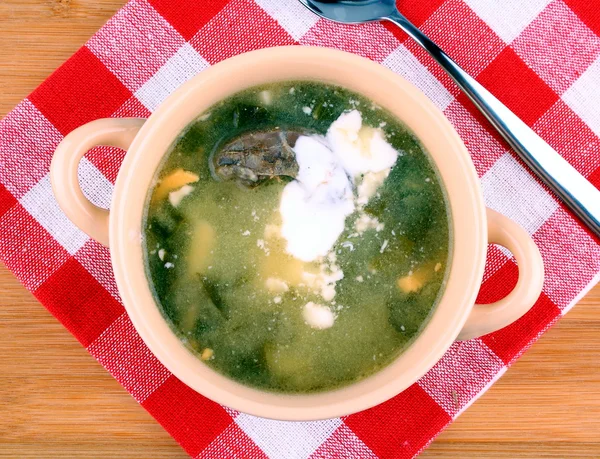 Grønn suppe med egg, kjøtt og fløte – stockfoto