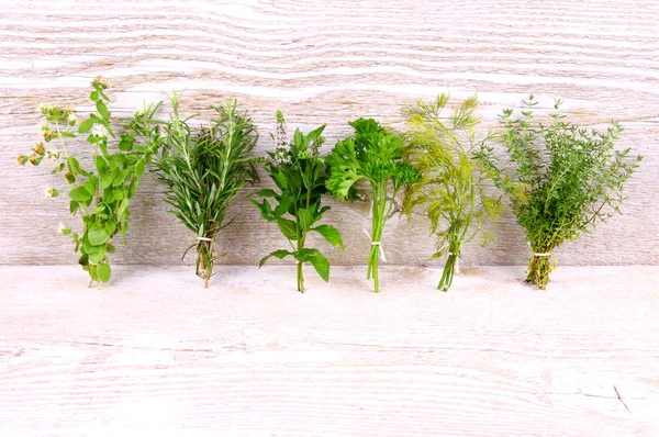 Herbs in bundle on the white wooden background — Stock Photo, Image