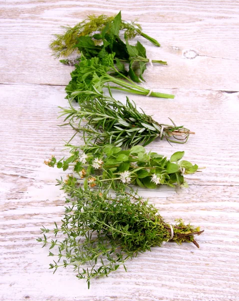 Herbs in bundle on white wooden background — Stock Photo, Image