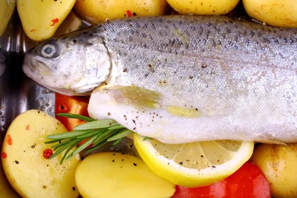 Truta inteira marinada com pimenta vermelha, batata e limão — Fotografia de Stock