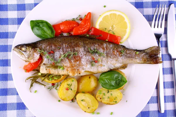 Truite arc-en-ciel grillée au poivron rouge, pomme de terre et romarin — Photo