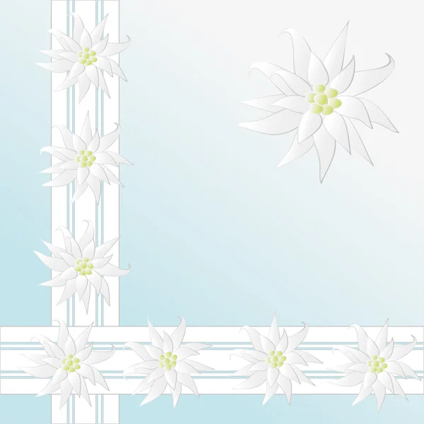 Motif décoratif avec Edelweiss comme fond — Image vectorielle