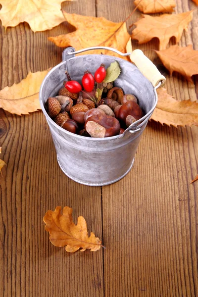 Secchio di zinco pieno di castagno, ghianda e rosa canina — Foto Stock