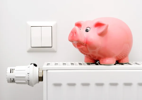 pembe elektrik tasarrufu ve maliyetleri Isıtma kumbara