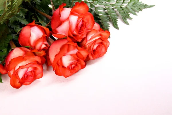 Vijf rode rozen met ruimte voor schrijven — Stockfoto