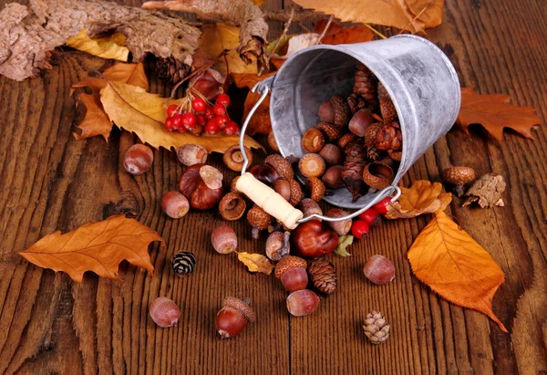 Balde de zinco com bolota distribuída, castanha e rosa mosqueta — Fotografia de Stock