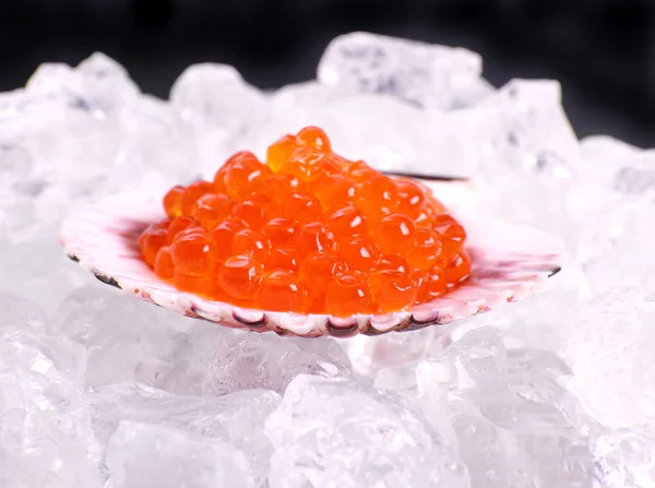 Gran concha llena de caviar rojo sobre hielo —  Fotos de Stock