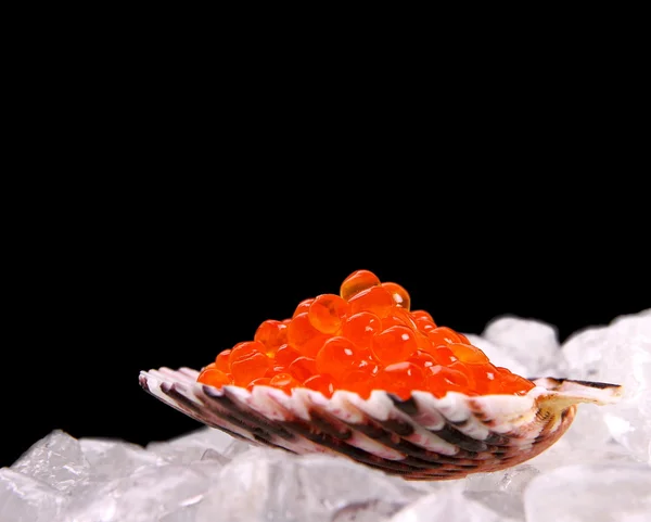 Cáscara grande llena de caviar de salmón rojo sobre hielo — Foto de Stock