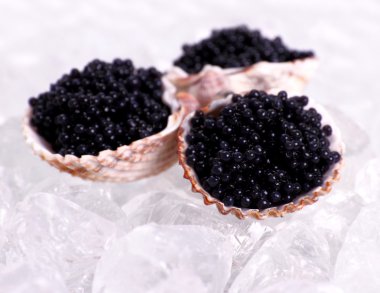 Three shell with black caviar on ice clipart
